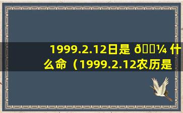 1999.2.12日是 🐼 什么命（1999.2.12农历是什么星座）